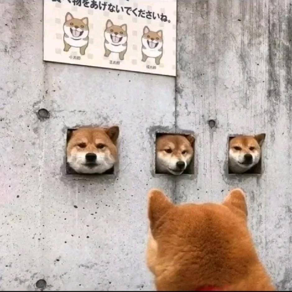纸飞机
