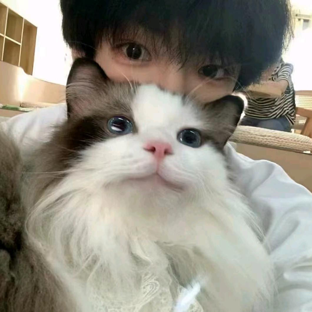 甜粽