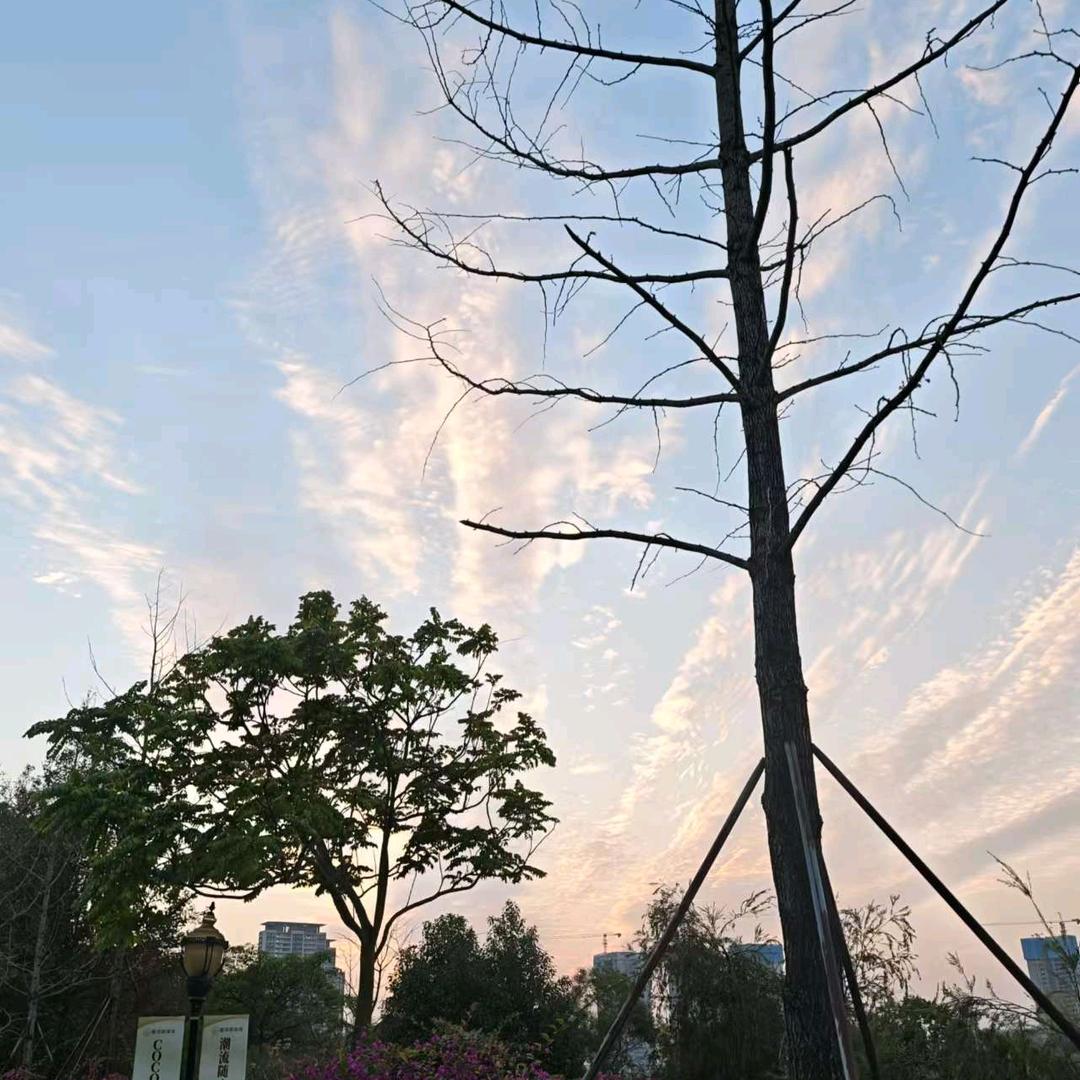 跳跳糖