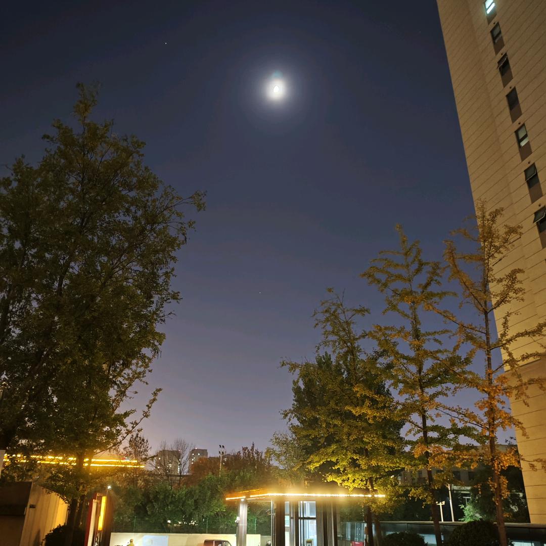 巨量引擎推广运营