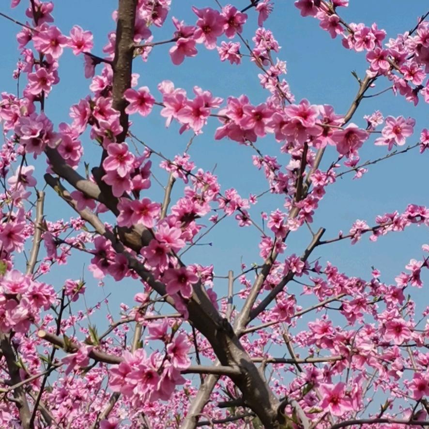 缘份天空