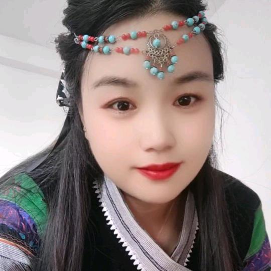 晓李琴