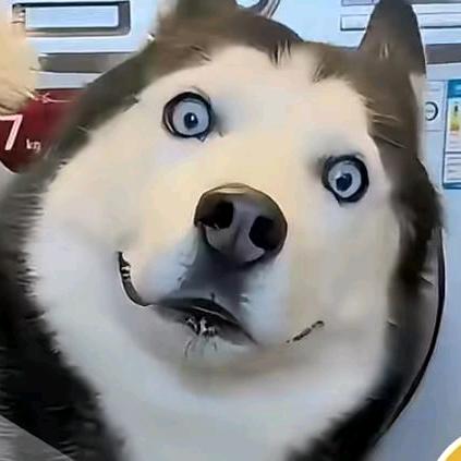 隔壁老王
