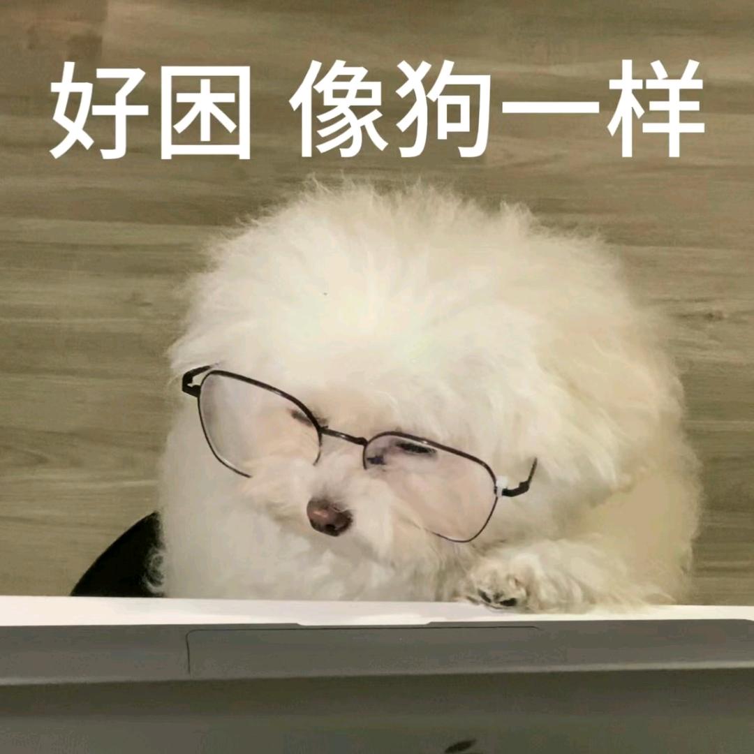 呵😏