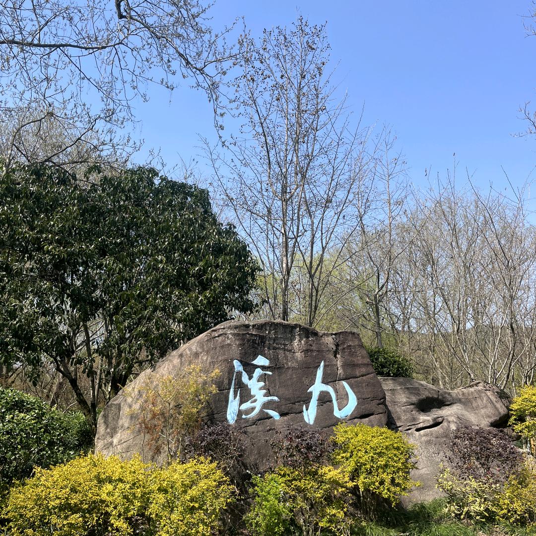 飞子