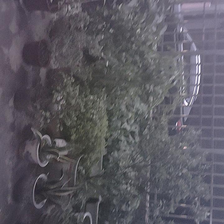 熊丙群
