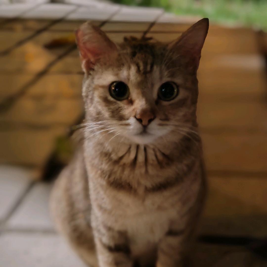 小李不爱吃西瓜