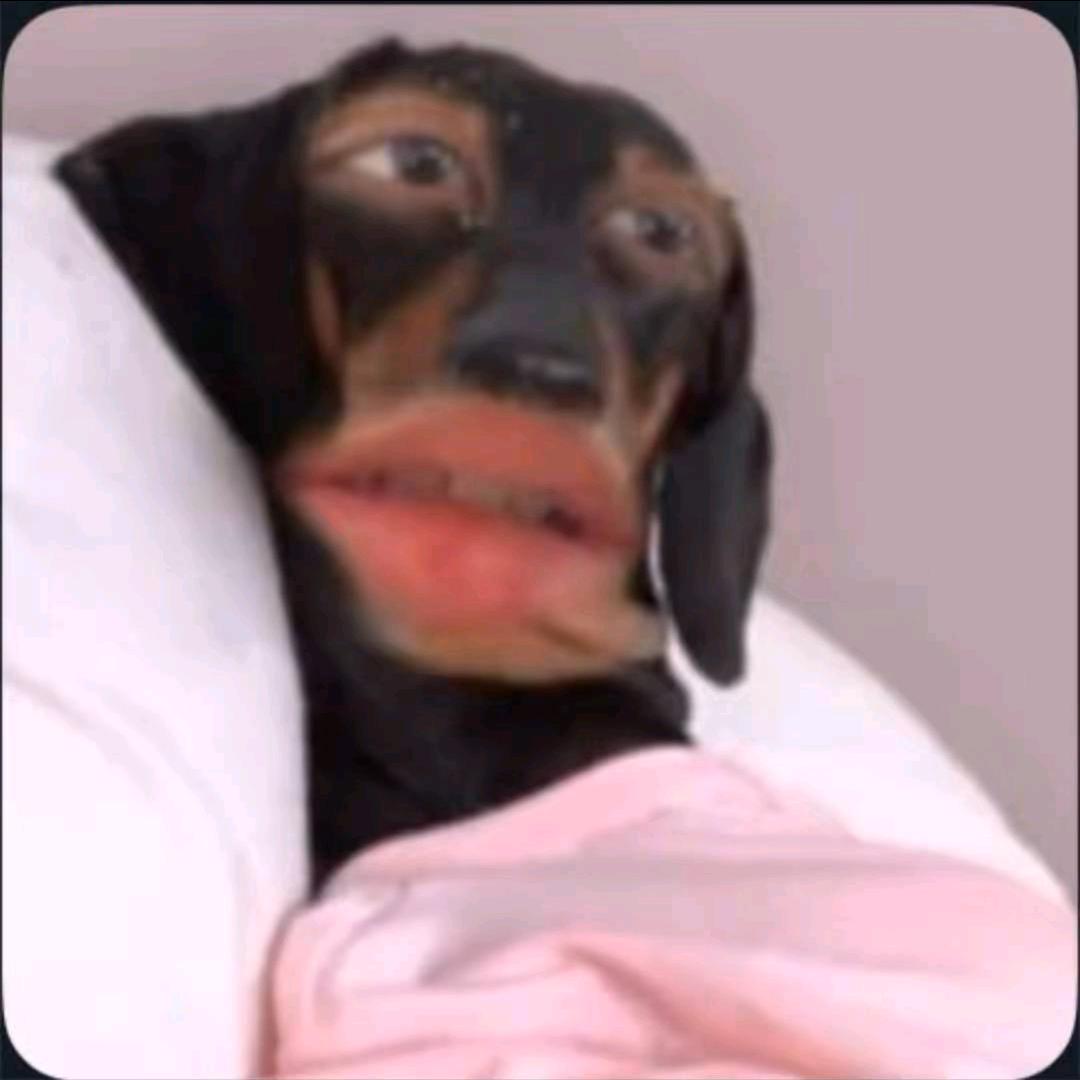 小名叫建伟@抖音