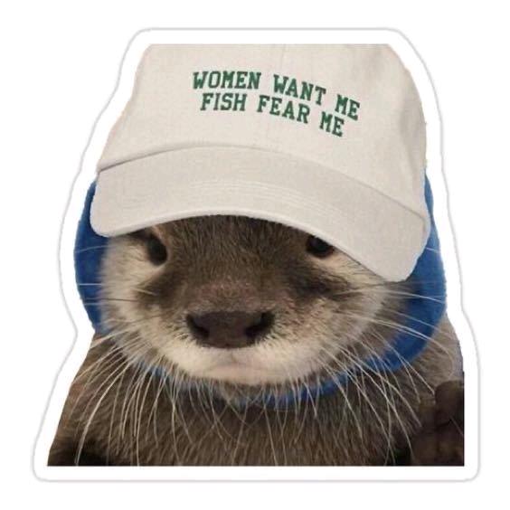 ._