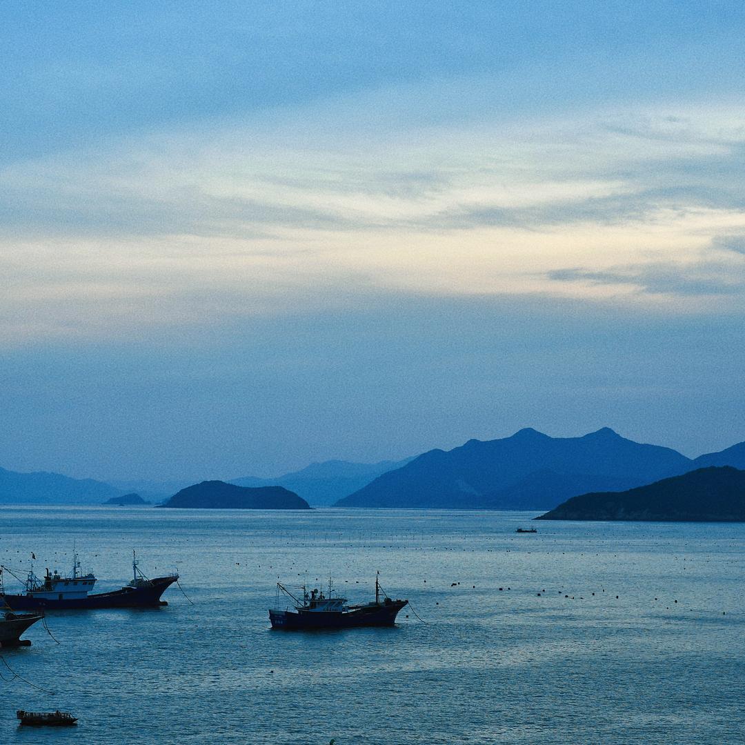 随意