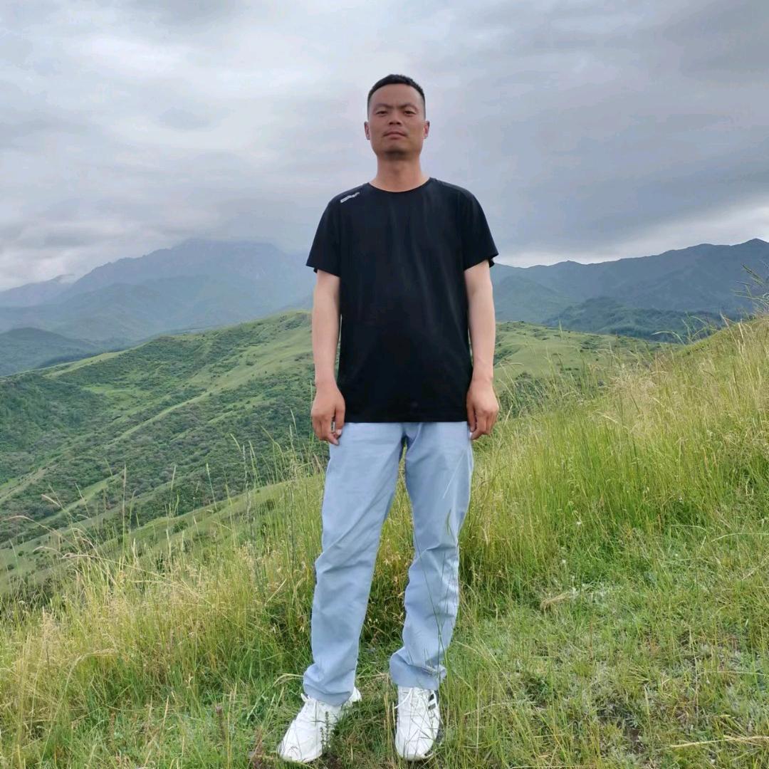 放荡不羁爱自由