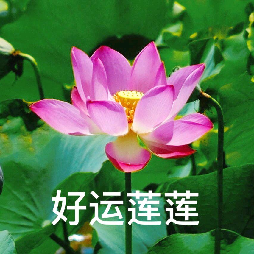 爱跳舞的黄姐