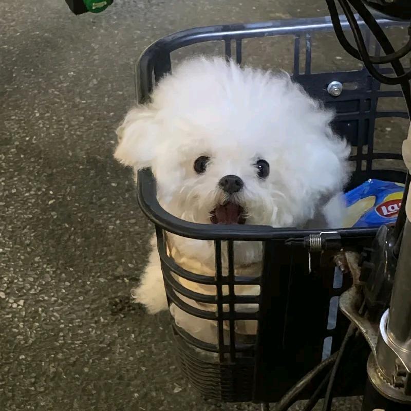 怎么总是饿饿的