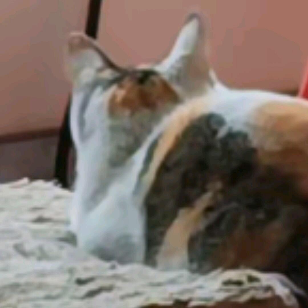 灯等灯等灯