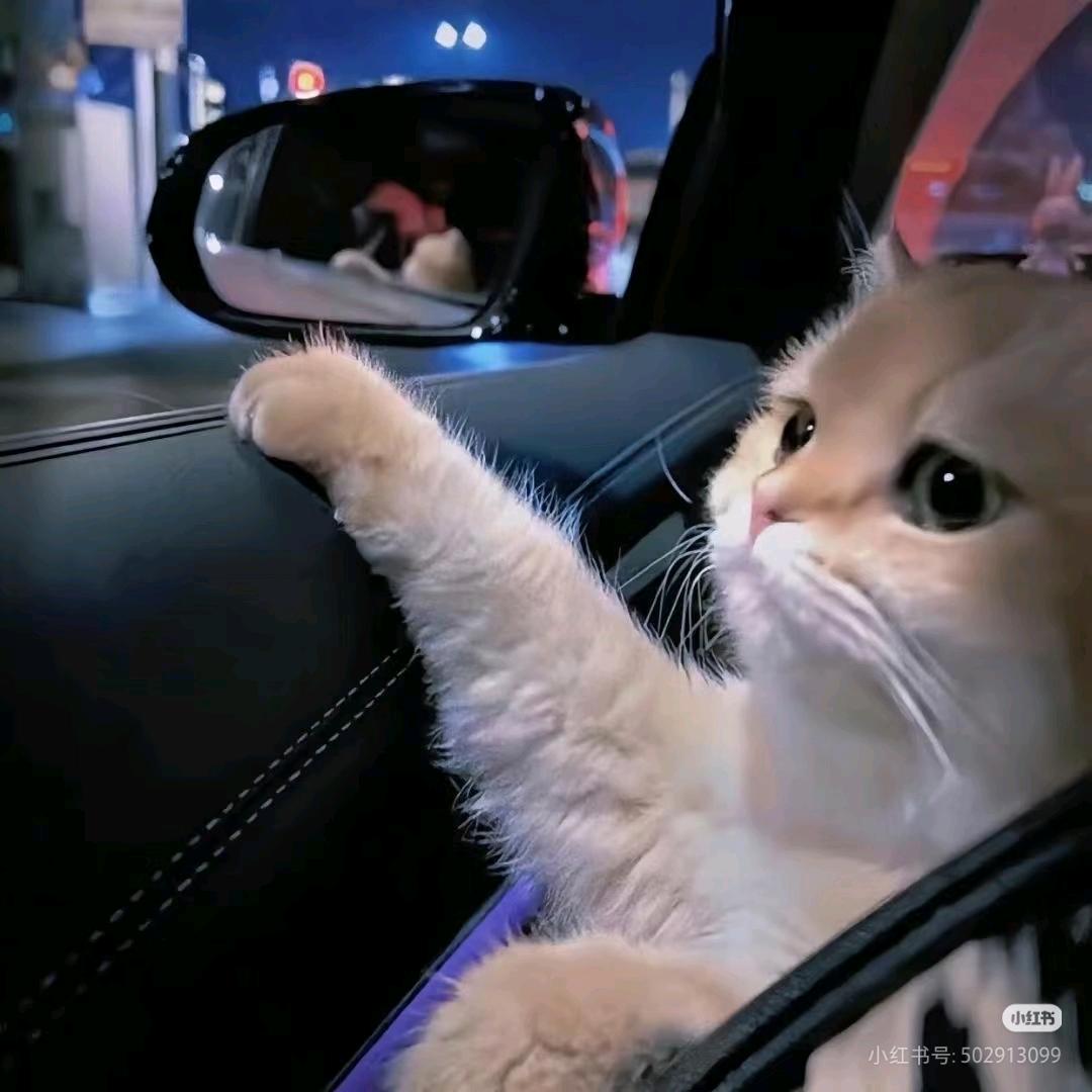 零༻度🎐²⁵⁶