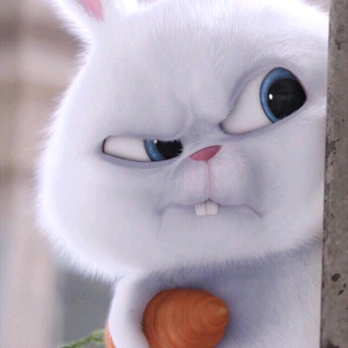 咋的，我就是这么牛