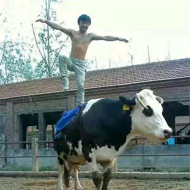 狼的温柔