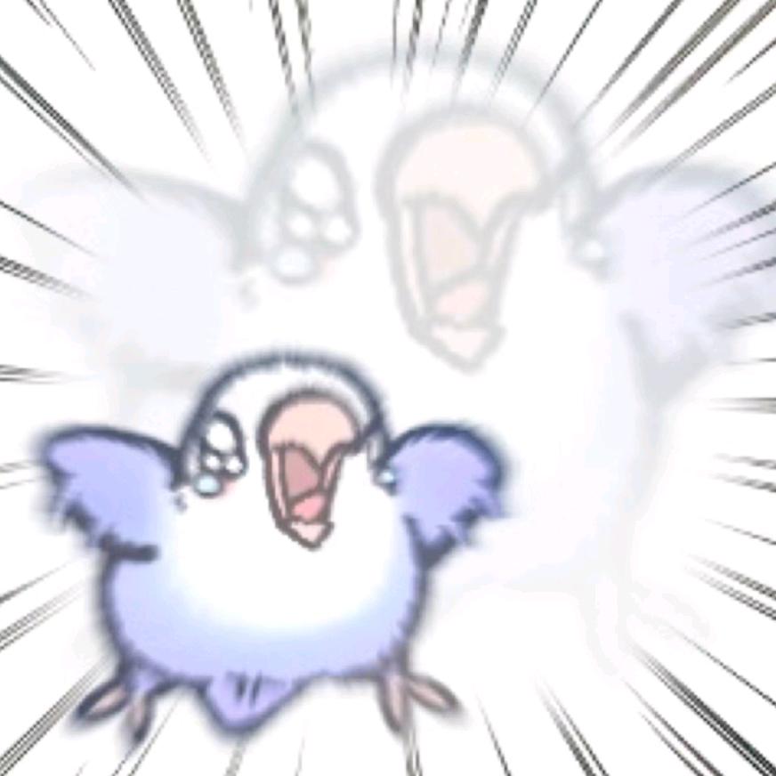 恨早八午二