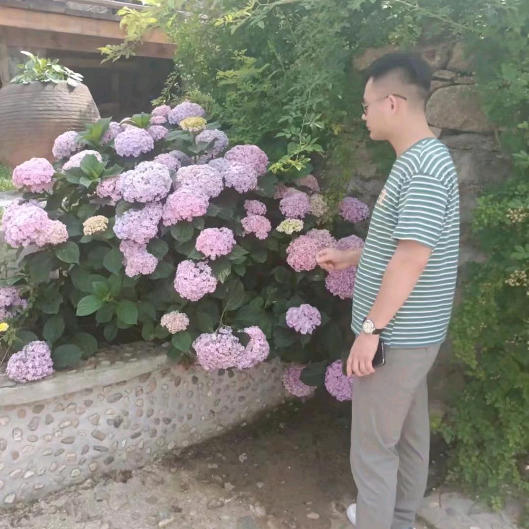 🍀九零年代