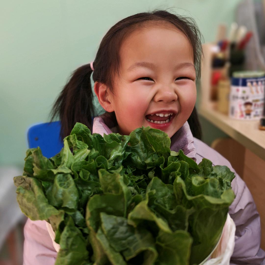 晨兴