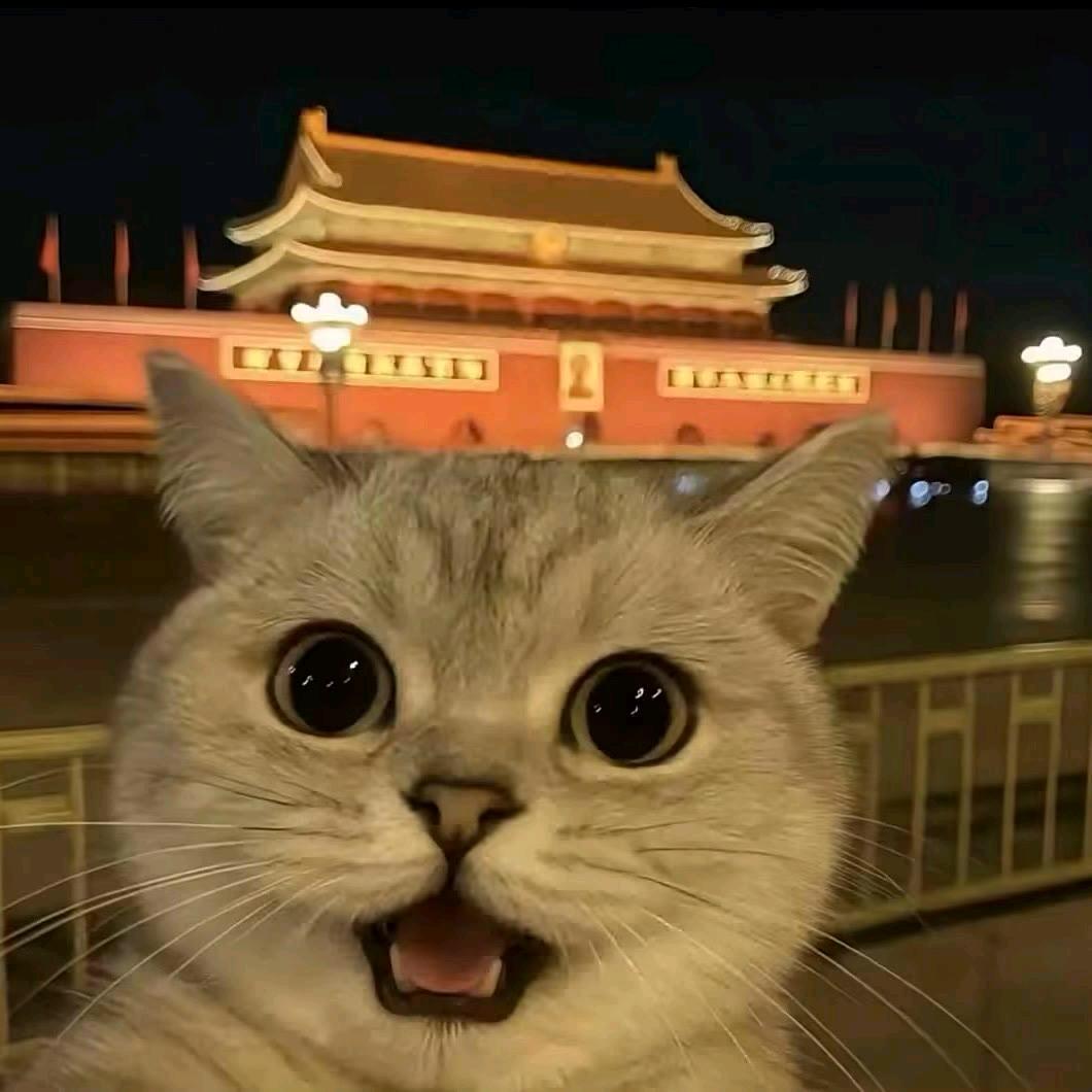 浅