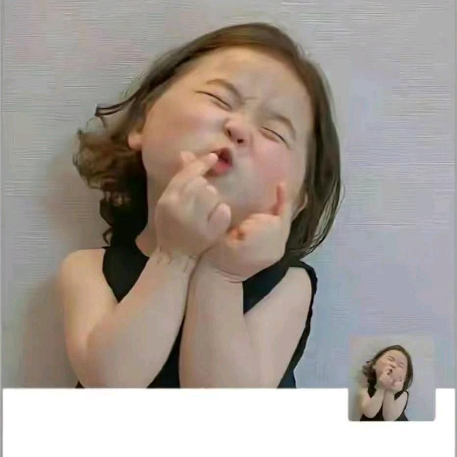 崂山茶༺海参*燕窝*碟鱼