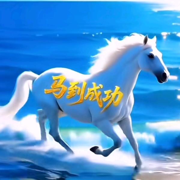 精忠报国