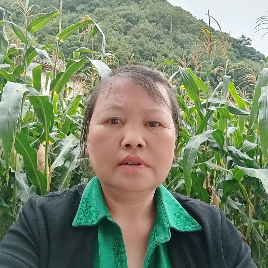 赵幺妹