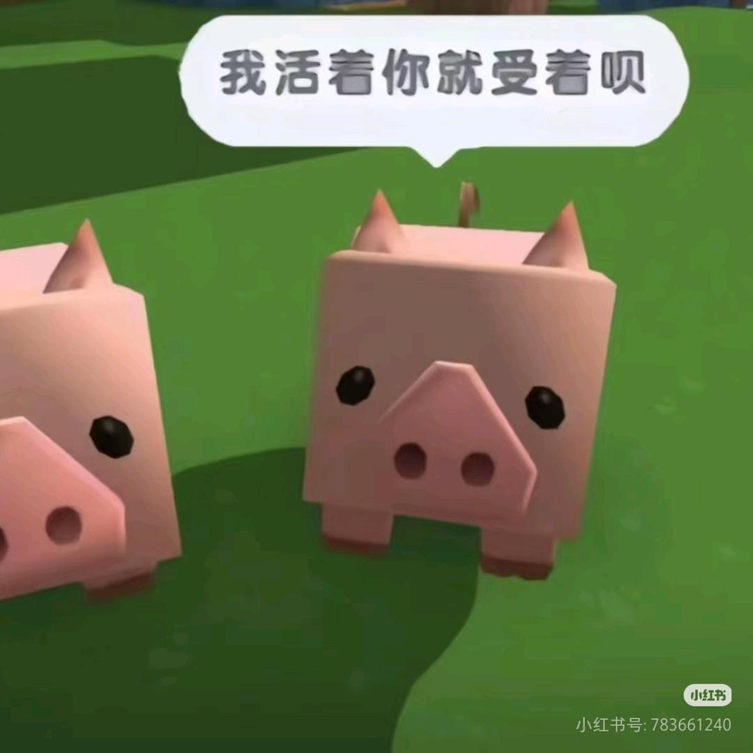 ˙ᯅ·