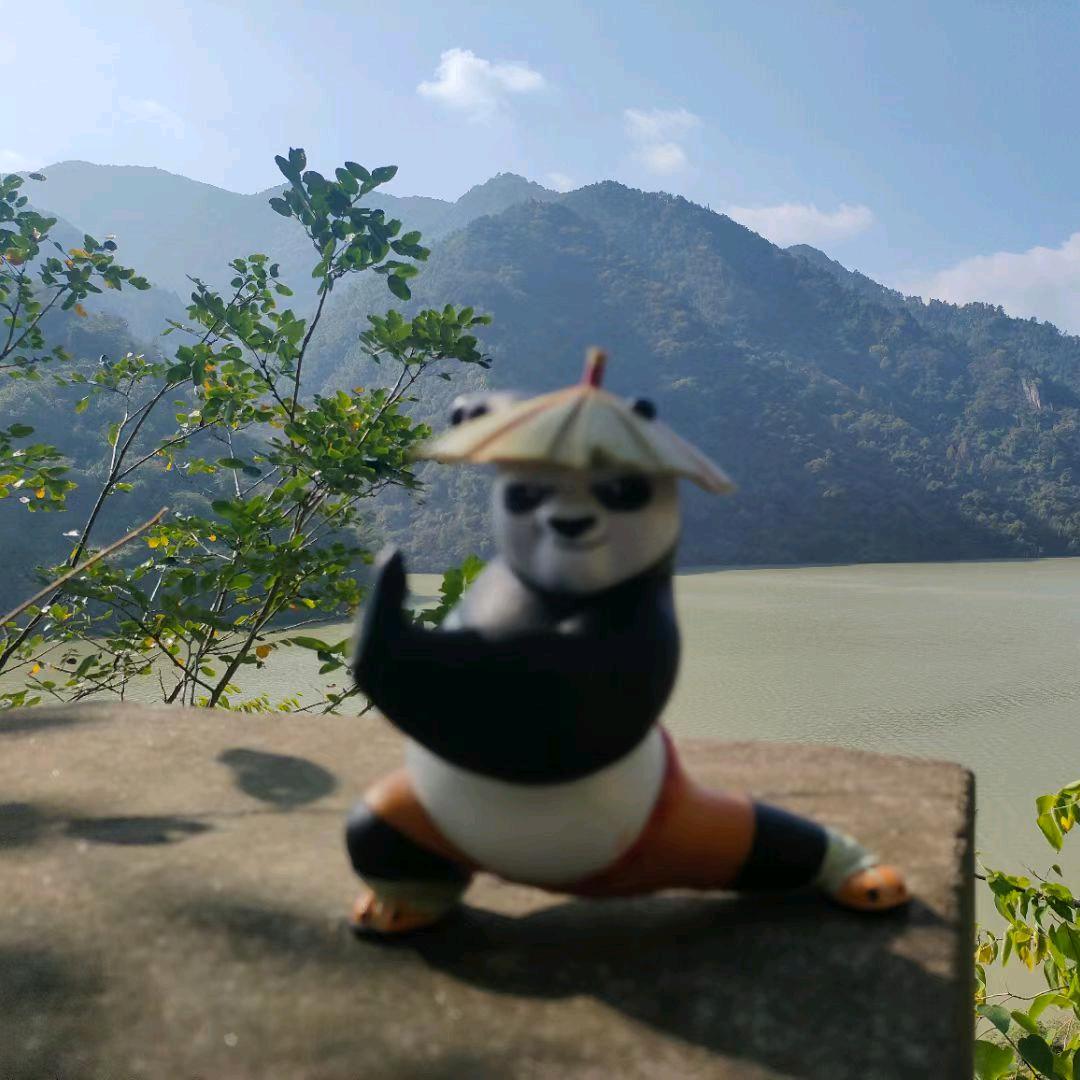 减肥的熊猫🐼