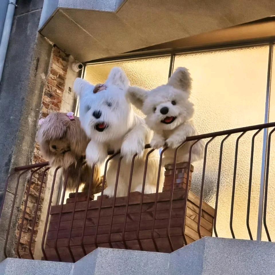 我看你不爽很久了