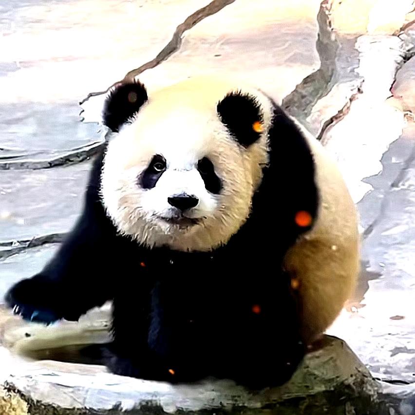 优优推荐
