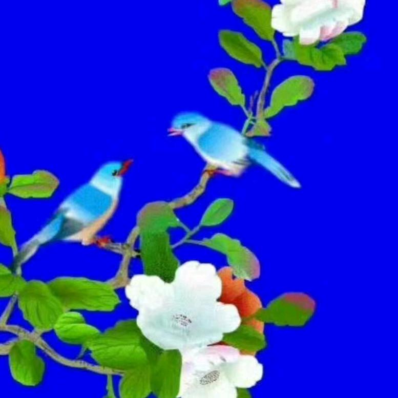 桃花运