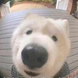 .̶♡̶