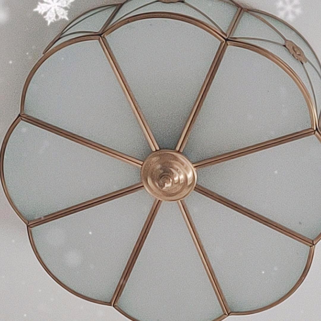 74年的虎，芹