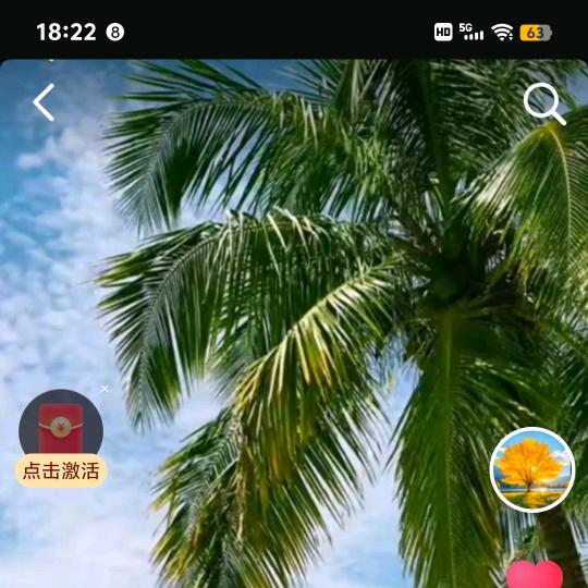 玲姐