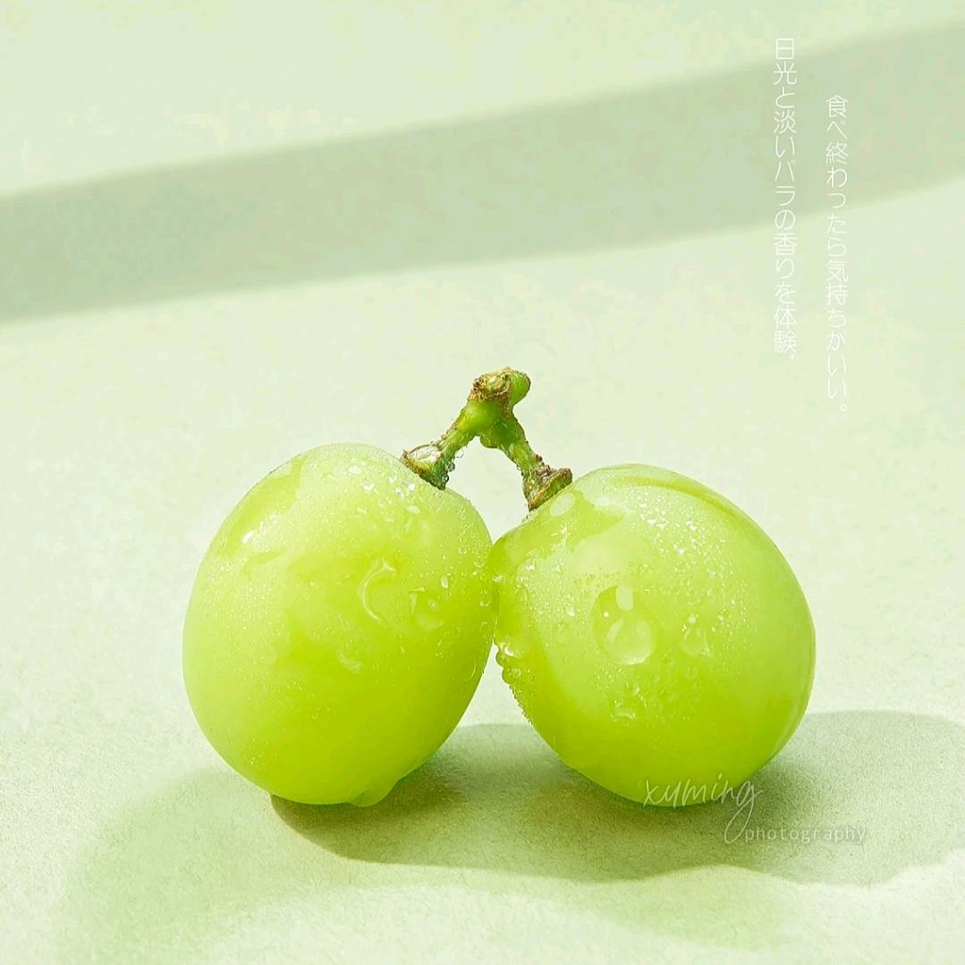 平舆万冢郭寺阳光玫瑰种植基地