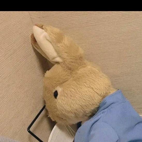 曹
