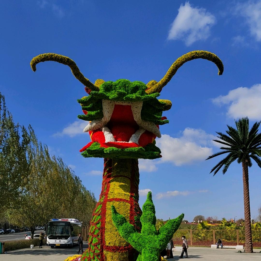 追逐音乐梦想的人