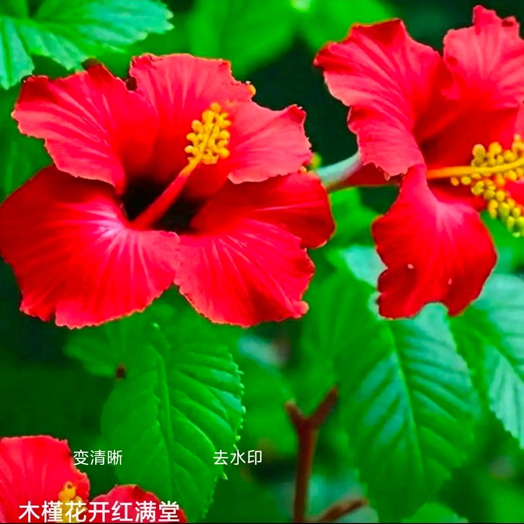 想的开就是快乐