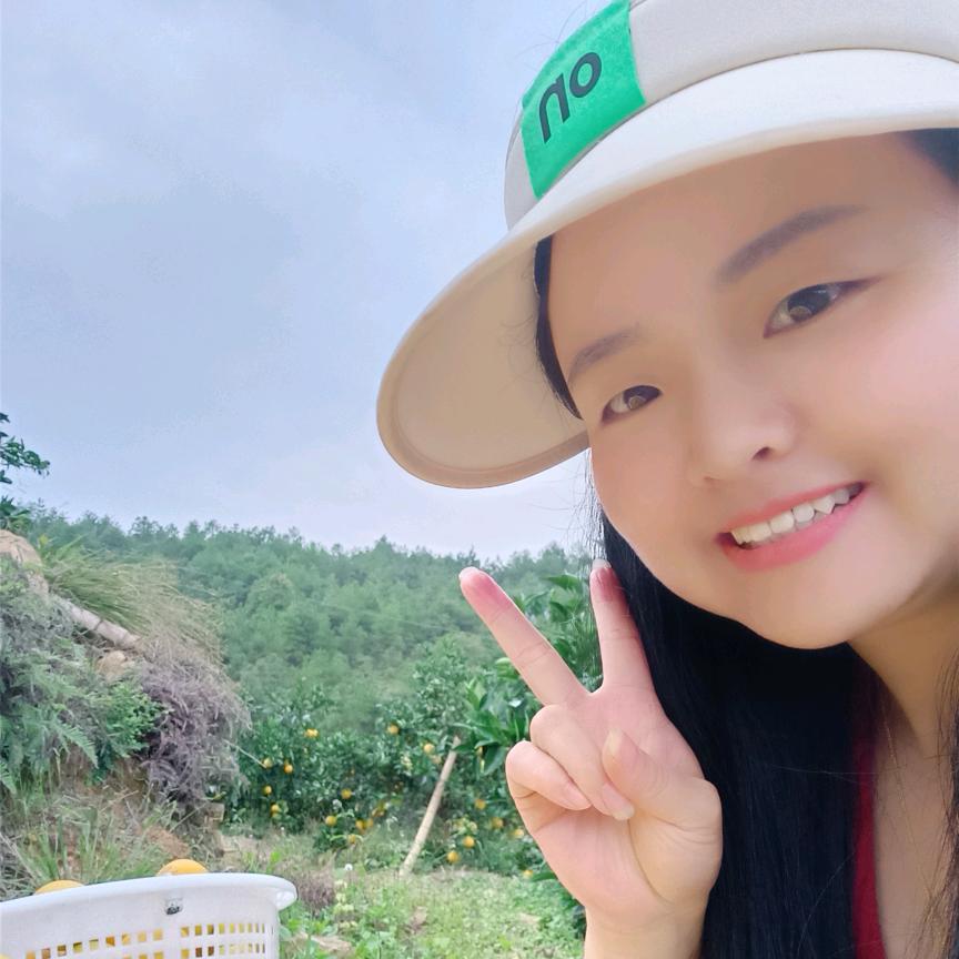 梅目款款赣南脐橙果园直供