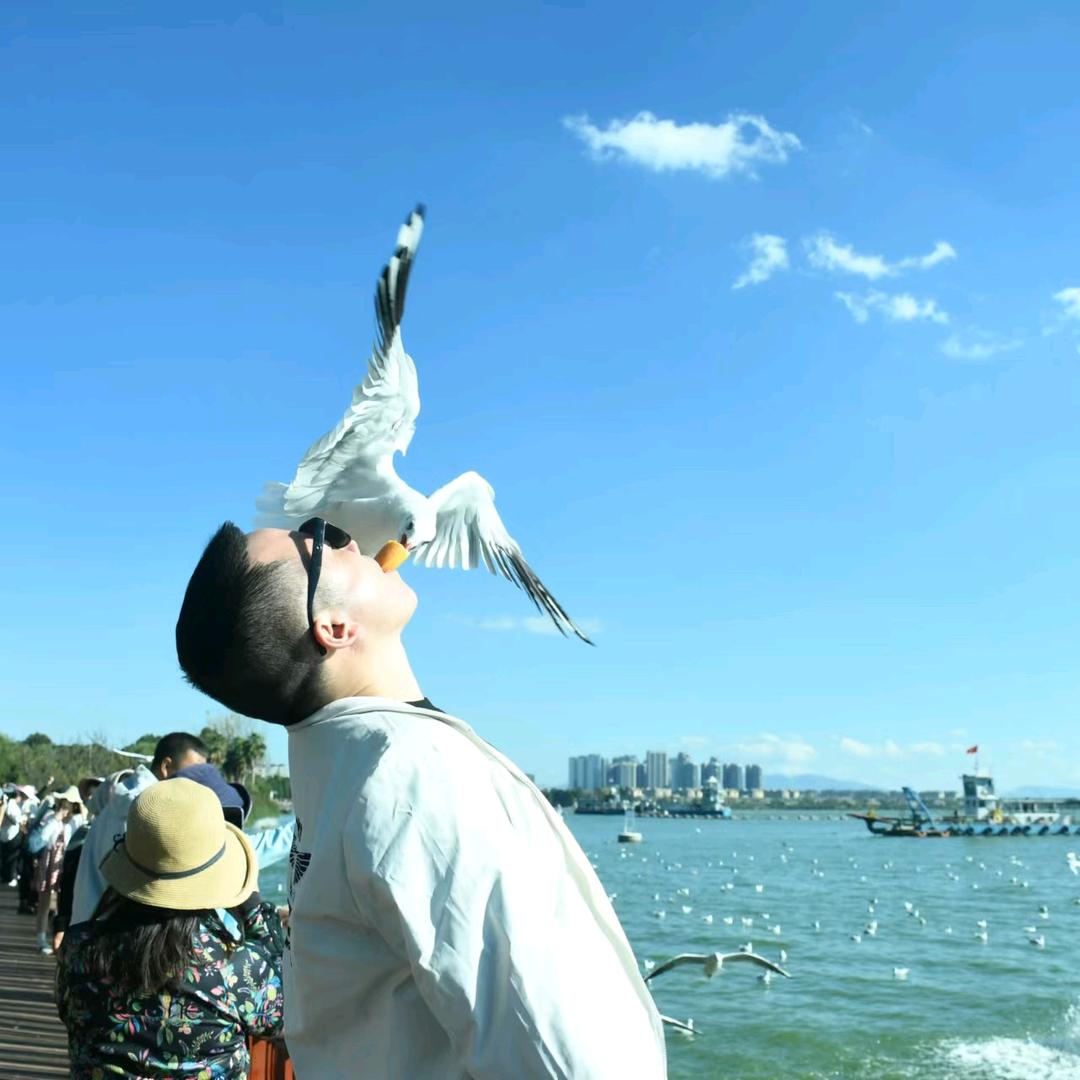 用户波仔7132183122316