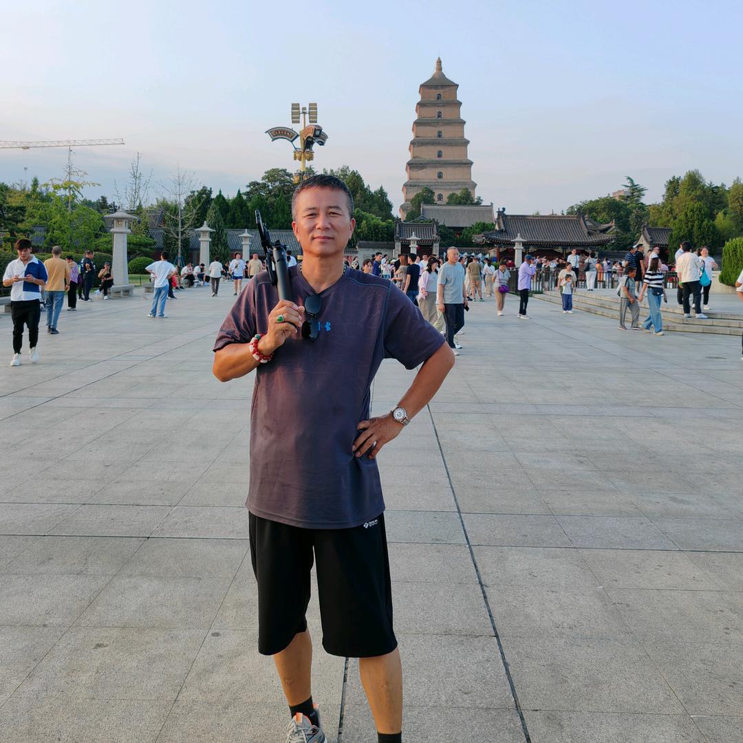 沙漠中的野骆驼