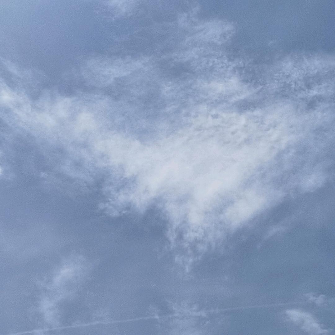 沧海月明珠有泪