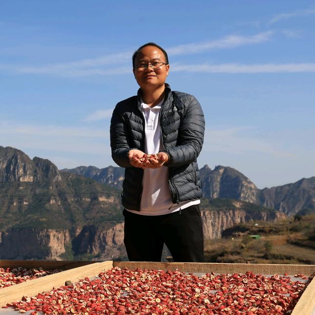 凤凰山村第一书记魏会军