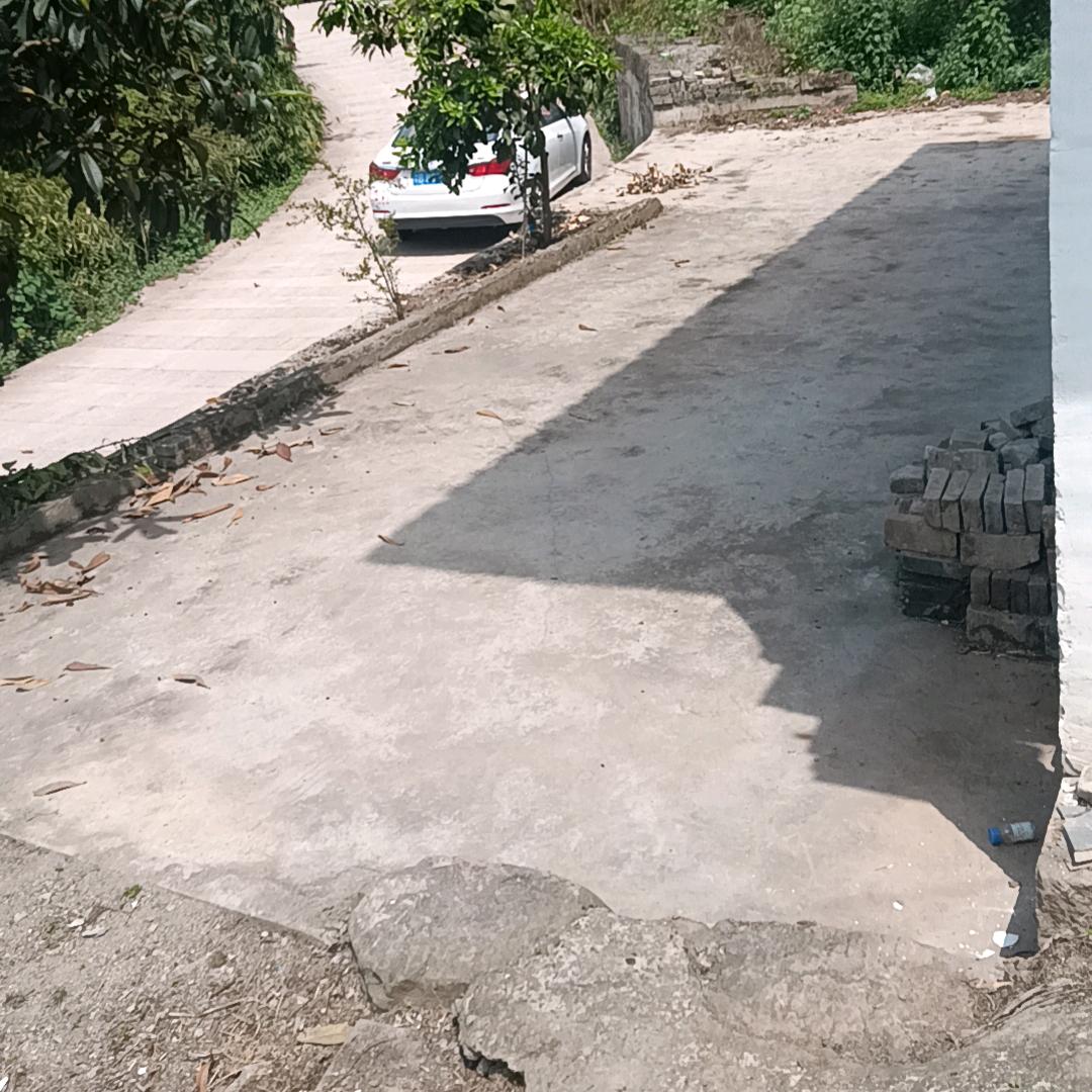 开心快乐每一天