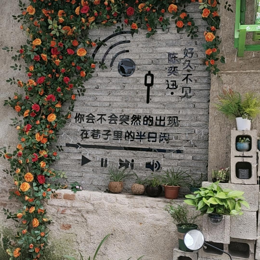 ⁵²º᭄ꦿ初心ꦿ࿐