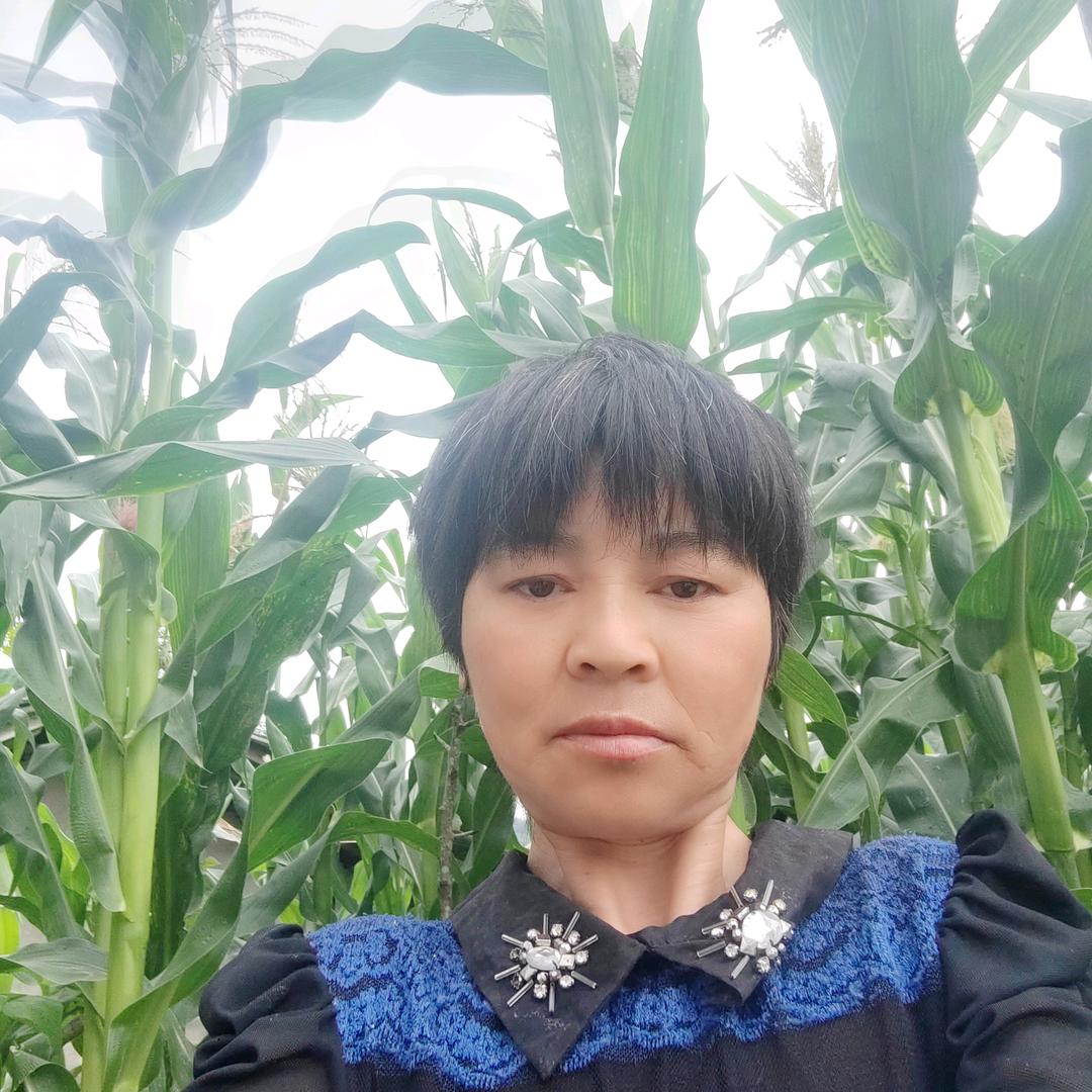 花好梦圆
