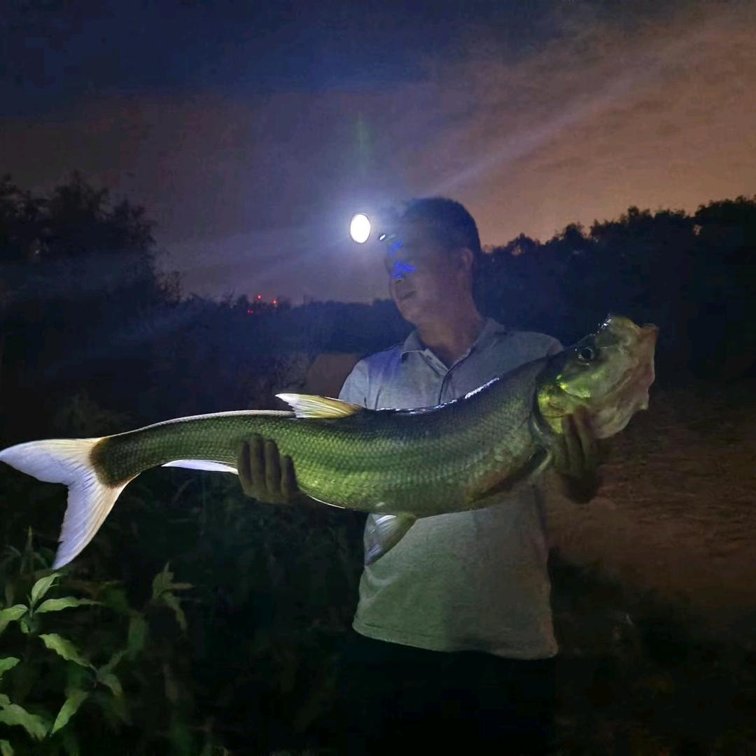 六安老兵陈班长