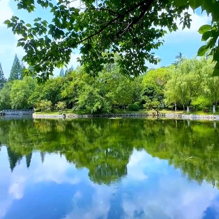 籽沐